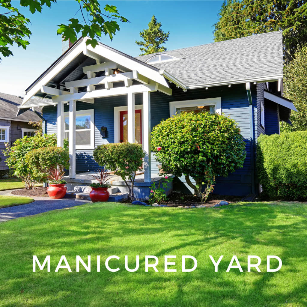 Manicured Yard