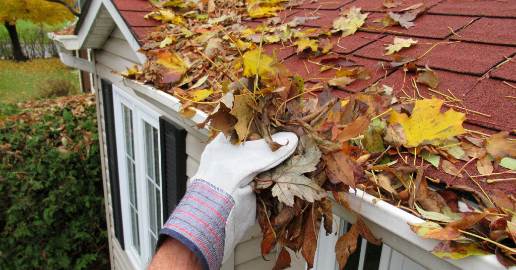 Clean out roof gutters